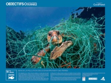 ODD14 Pollution des océans